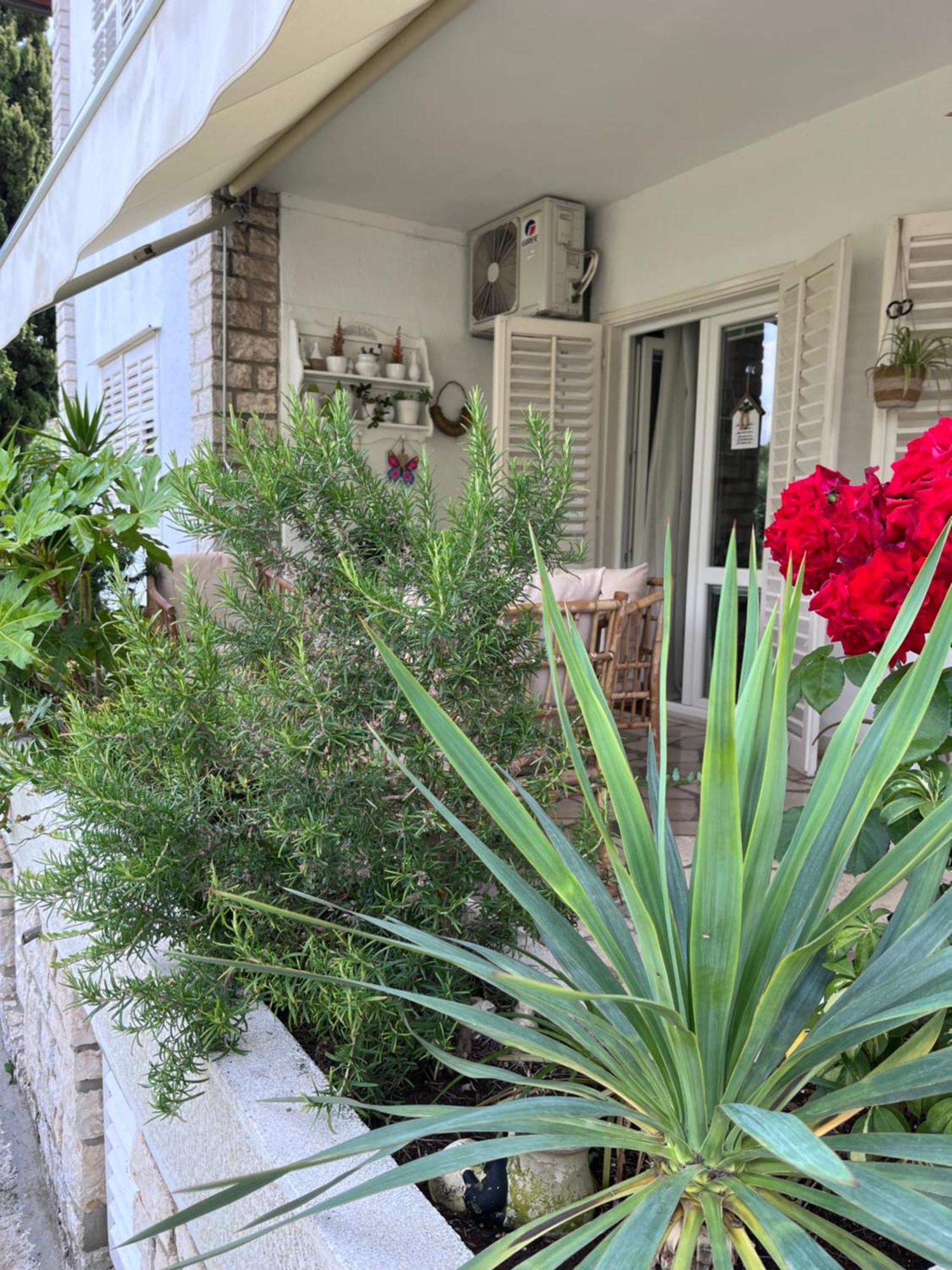 House Of Rosalia Apartman Rovinj Kültér fotó