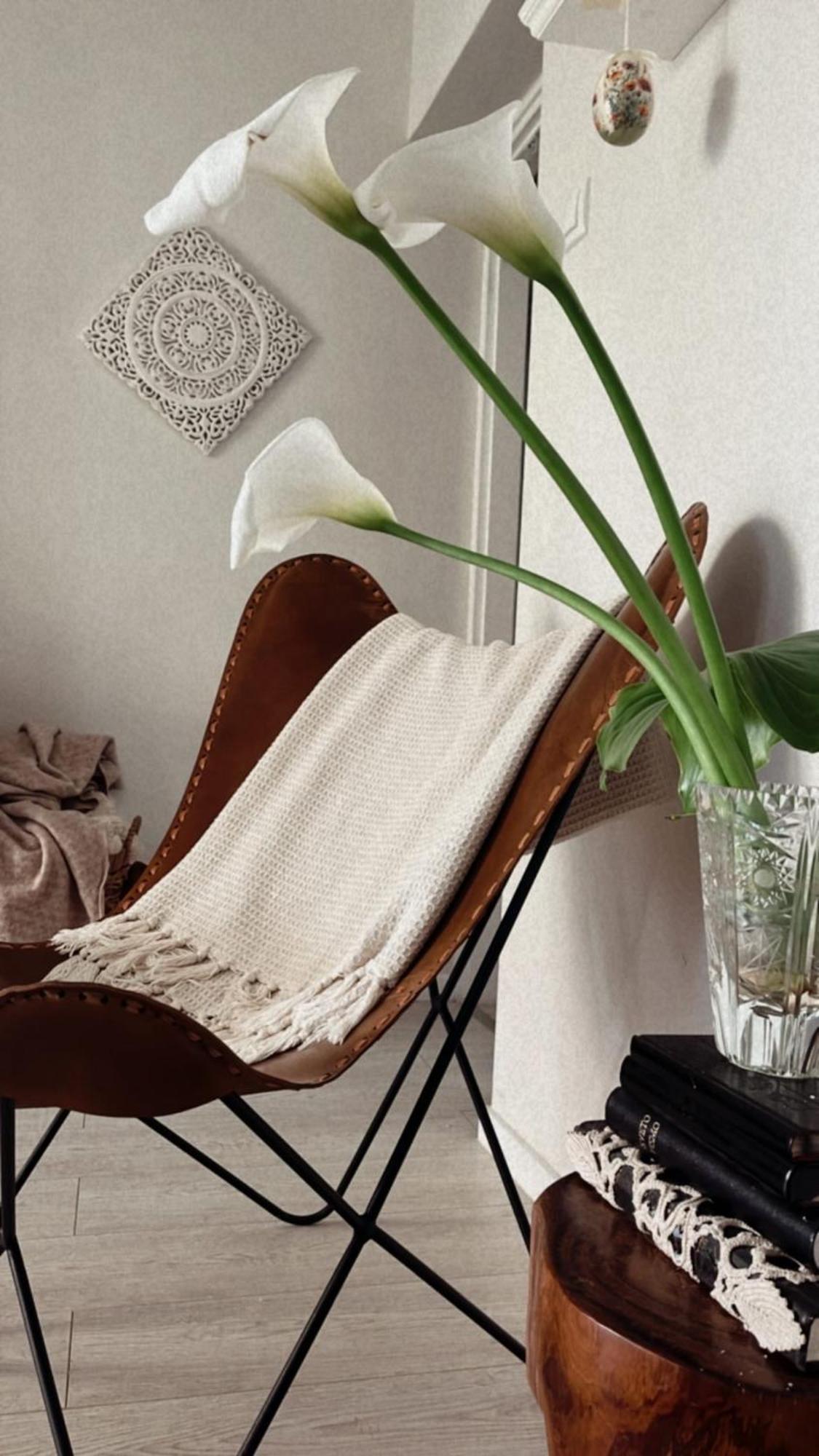 House Of Rosalia Apartman Rovinj Kültér fotó